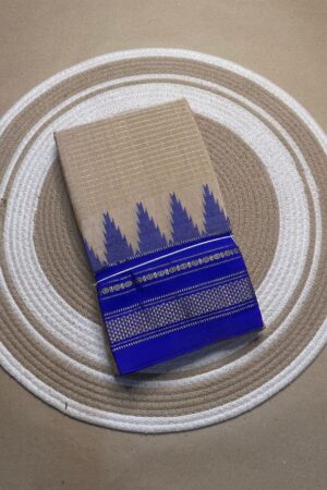 light chocolate and blue jerry checks, temple gadiwalsaree pallu tope pallu